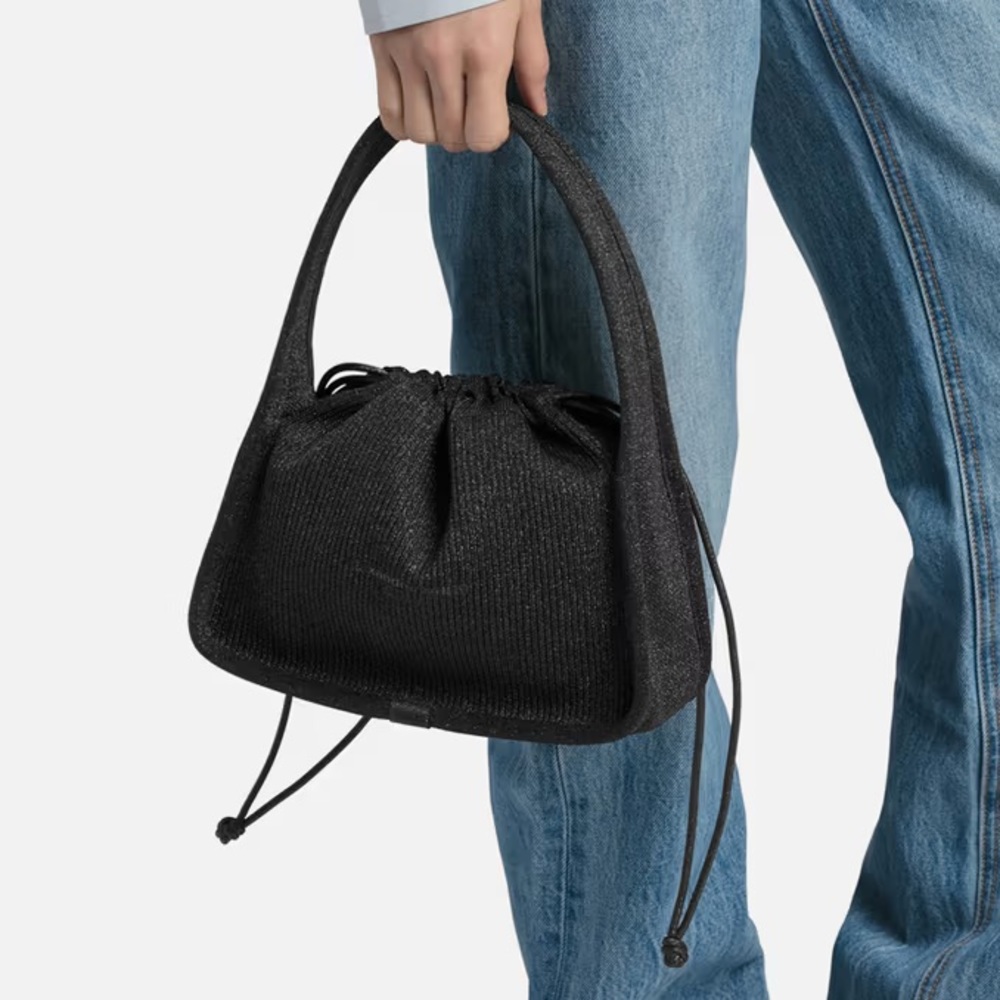 NWT Alexander Wang small ryan bag